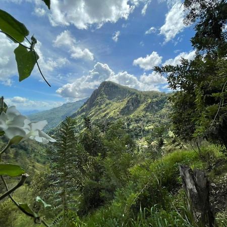 The Ella Valley 外观 照片