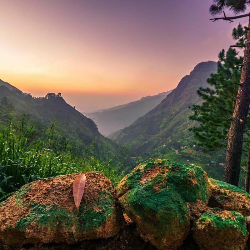 The Ella Valley 外观 照片