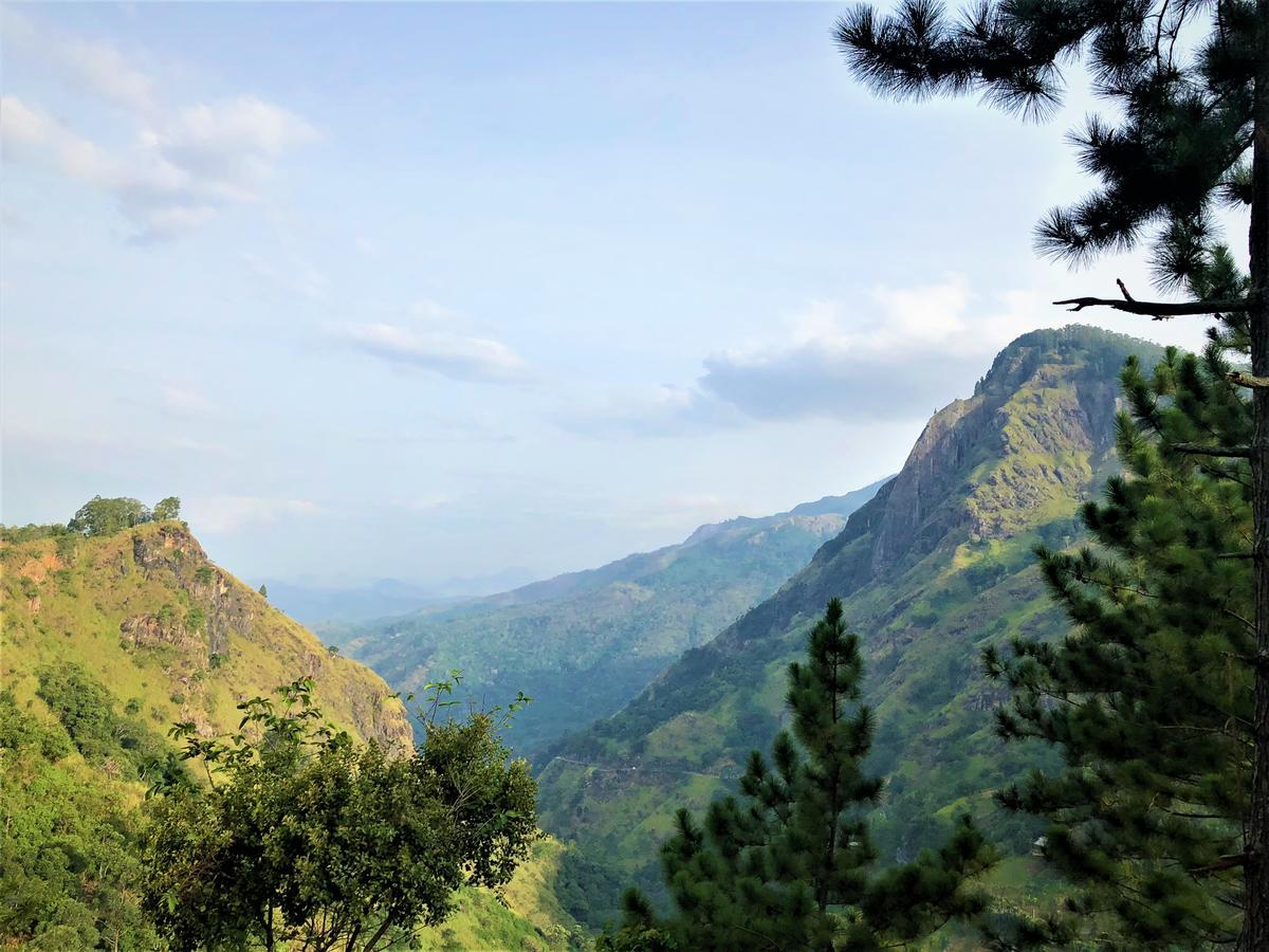 The Ella Valley 外观 照片