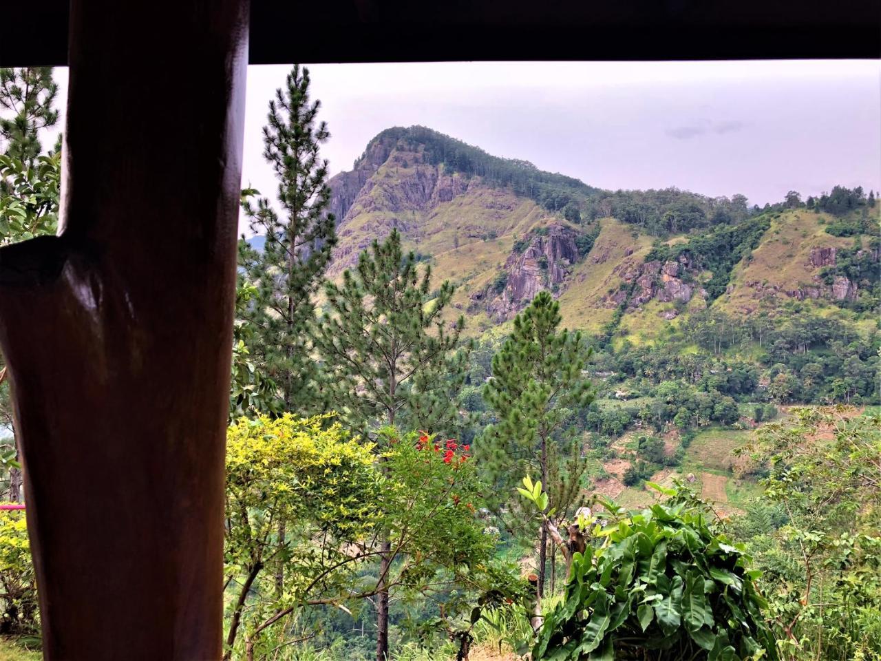 The Ella Valley 外观 照片